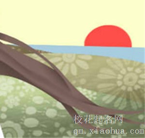 十二星座女生被包养指数