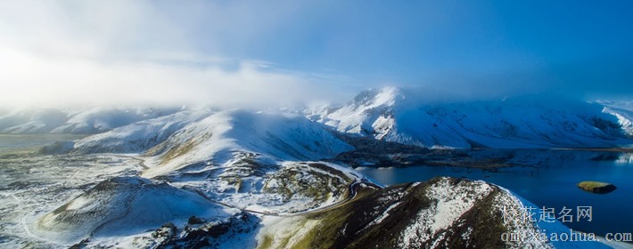 付出真心不一定能得回报的星座