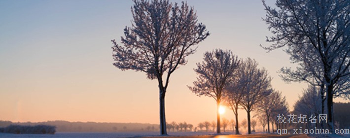 水瓶座男和巨蟹座女怎么谈恋爱