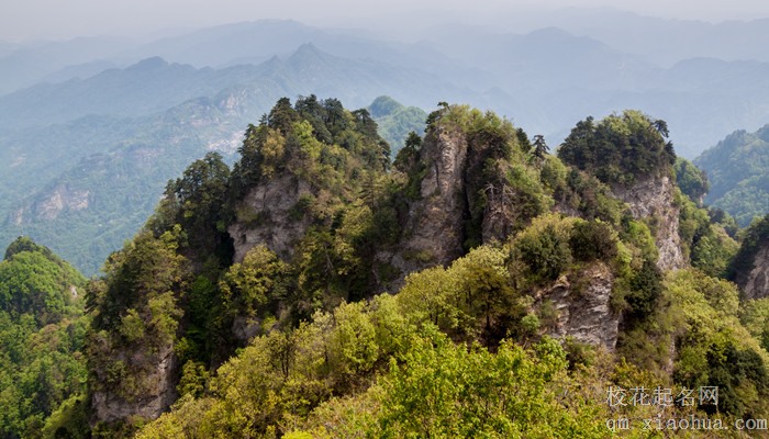 梦见跳下山崖逃跑