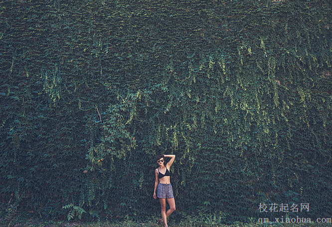 不爱去减肥，月月徒伤悲的星座