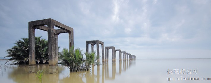 很在意却喜欢装作不在乎的星座