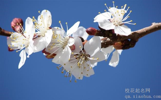 野心极大，这三大星座不甘寄人篱下，既霸气又争气