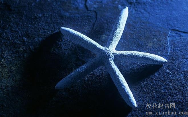 朋友多了路好走，性格热情最爱交朋友的星座