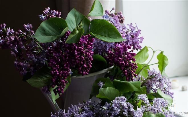 是啥原因导致12星座与升职无缘