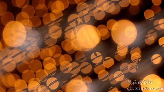 工作认真踏实的三大星座，不羡慕别人的美好，他们有自己的辉煌