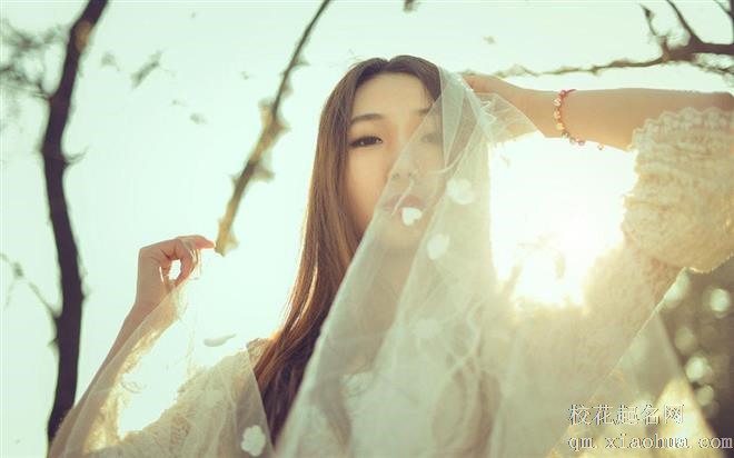 太聪明，一点就通的三个星座