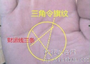 三角令旗纹是什么手相