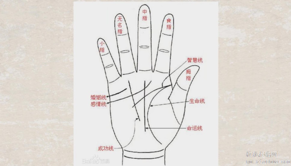 十个斗的女人红颜薄命