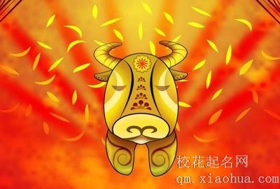 兔年尾巴出生的宝宝