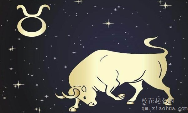 陶白白说金牛座的文案