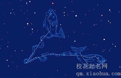 想双鱼男要不要告诉他