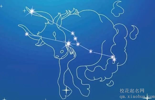 金牛座o型血女适合的职业