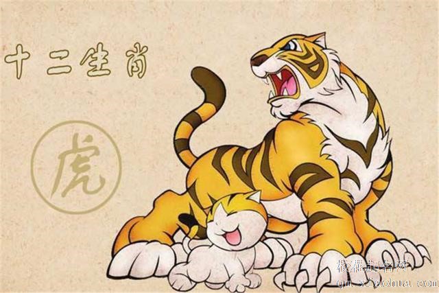 什么属相的人最能镇宅
