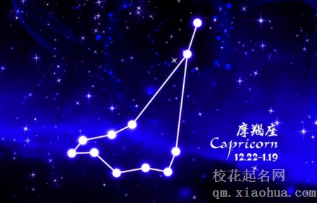 摩羯不回信息就不用理了