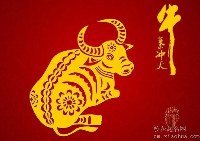 97年的牛过了24岁会越来越好