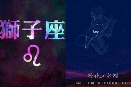 狮子男疯狂思念你的表现