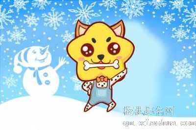 生肖狗要住几楼比较好
