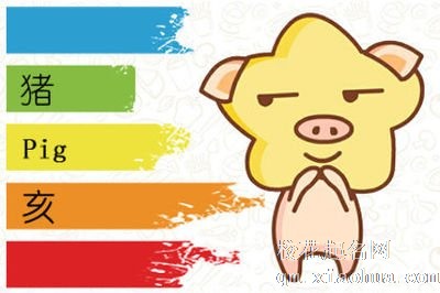 谁是属猪的贵人