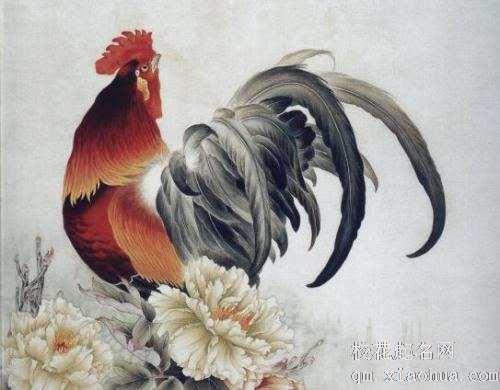 属鸡女变心的十大表现