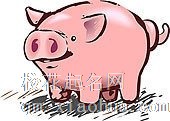 属猪人养什么花旺财