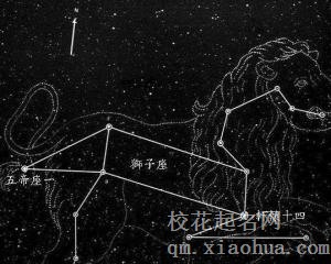 狮子男对你没兴趣表现