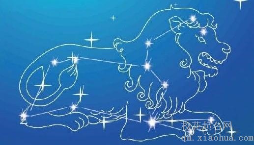 狮子男对你没兴趣表现