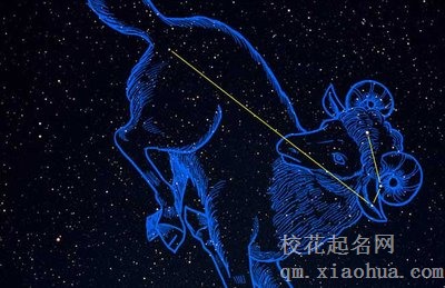 白羊男会忍着不联系吗