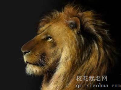 让狮子座唯一珍惜的星座