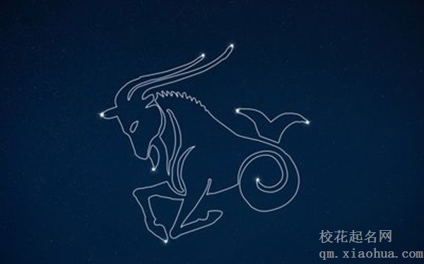 对摩羯男是不是不要太好