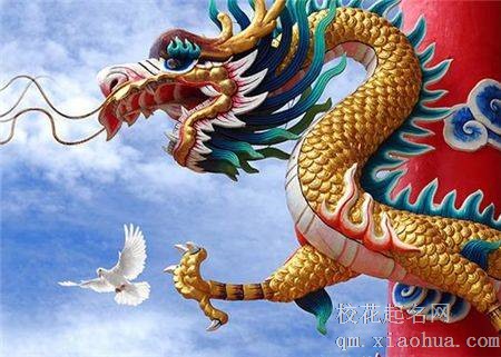 兔和龙夫妻能到老吗