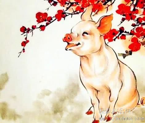 生肖猪命中有两大贵人