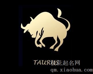 怎么才能让金牛男喜欢上自己
