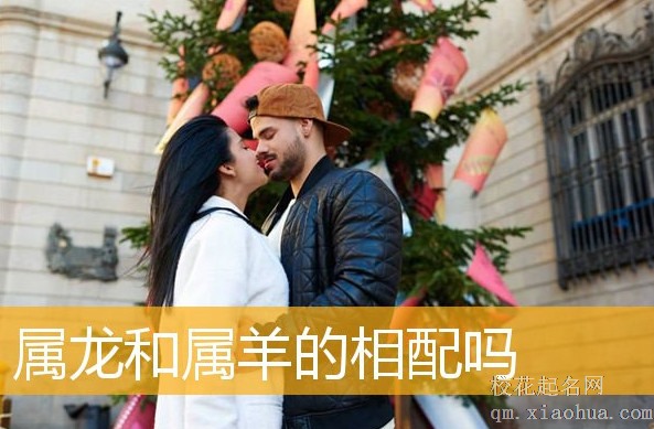 生肖龙和生肖羊相配吗