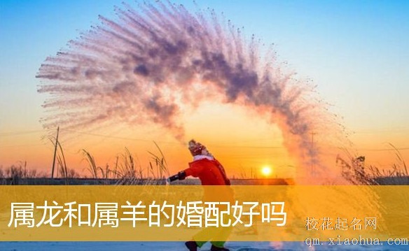 生肖龙和生肖羊相配吗