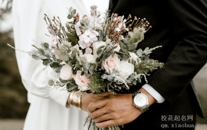 马和羊相配婚姻如何