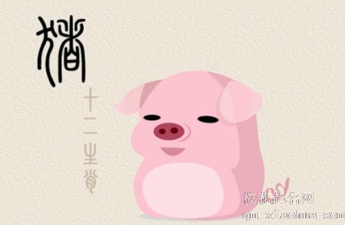 属猪的和属猪的合不合