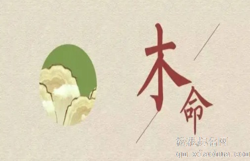 木命和土命婚配好吗