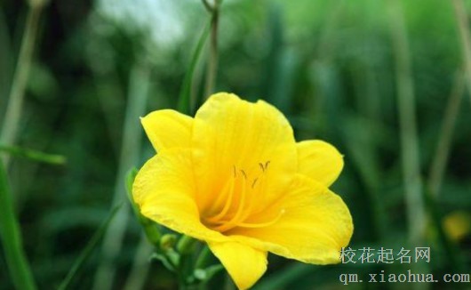 最喜欢新鲜感的生肖男