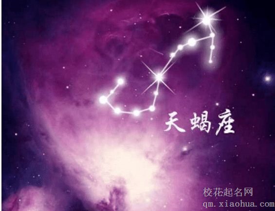 天蝎座男生要怎么相处