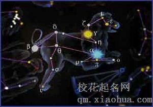 能够虐狮子座的女人