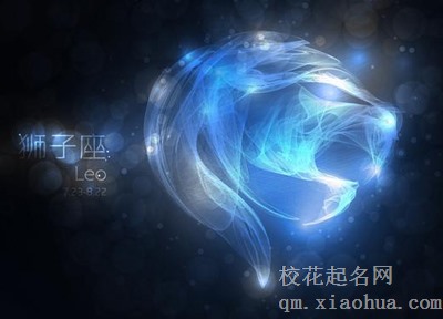 狮子男都是姐弟恋配置