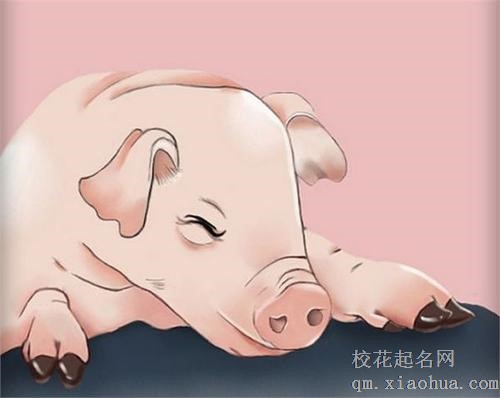 71属猪女几月不好