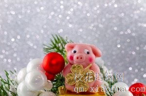 83年属猪人交9年大运