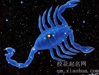 天蝎男会主动道歉吗