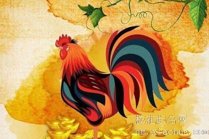 属鸡的人辟邪最厉害的是什么