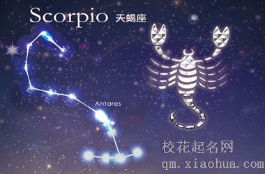能让天蝎听话的星座