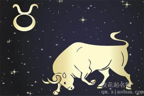 金牛座男生喜欢什么样的女生