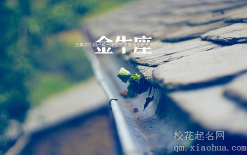 为什么金牛座是最恐怖的星座