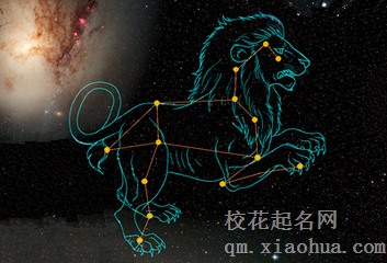 狮子男舍不得你的表现